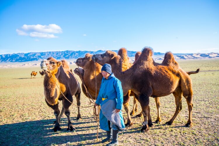 Mongolia