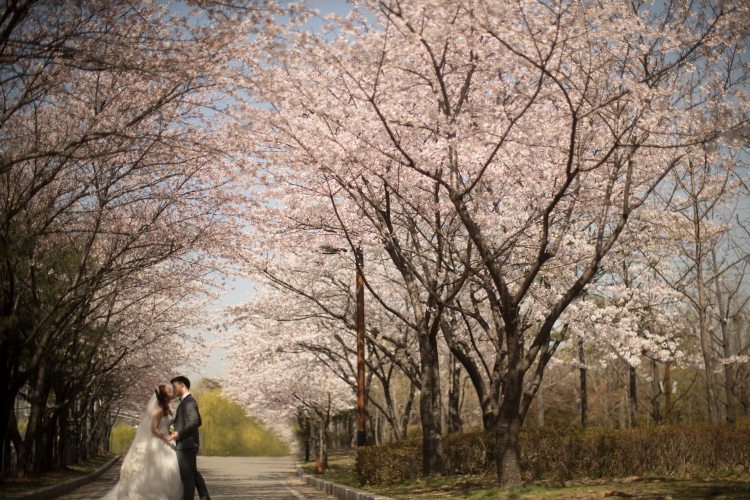Korea Wedding